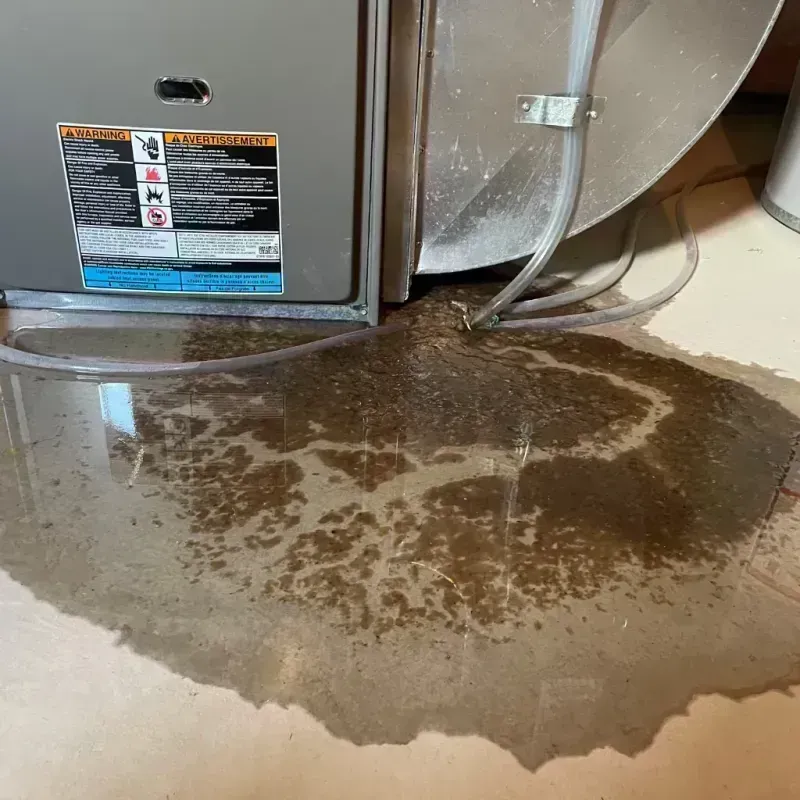 Appliance Leak Cleanup in Castle Pines, CO